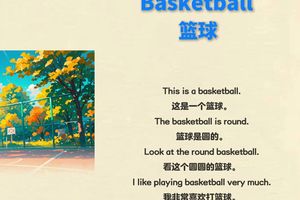 篮球训练看法和建议英语